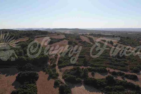 Farm hus i Almansa, Albacete, Almansa - € 560.000 | Ref: SF0516 - foto 4